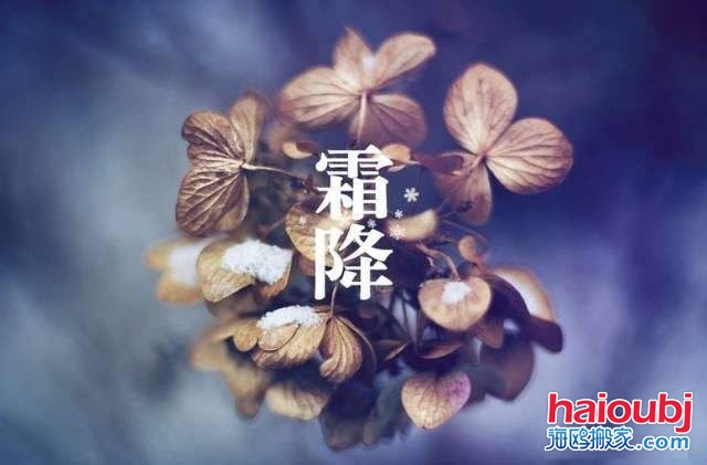 2019年霜降的第二天可以搬家嗎，如果搬家需要注意些什么？.jpg